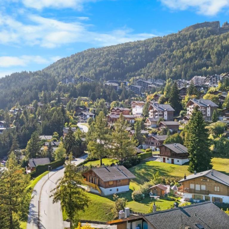 Chalet Copacabana a Anzere vue sur les Alpes - Chalet - 36