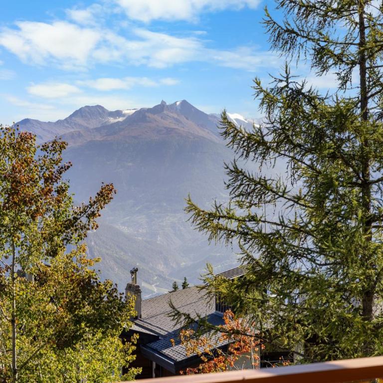 Chalet Copacabana a Anzere vue sur les Alpes - Chalet - 48