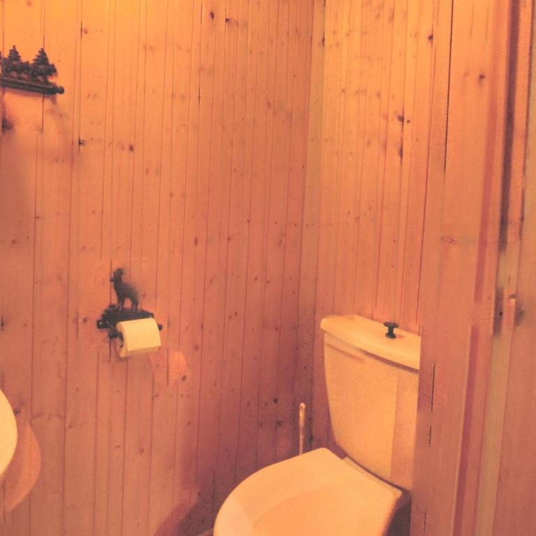 Chalet Dix loups a Anzere avec vue sur les Alpes - Chalet - 18