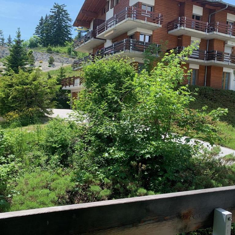 Edelweiss F 804 a Anzere proche du centre - Apartment - 8