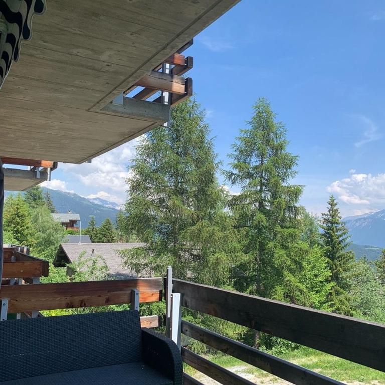 Edelweiss F 805 a Anzere avec vue sur les Alpes - Apartment - 10