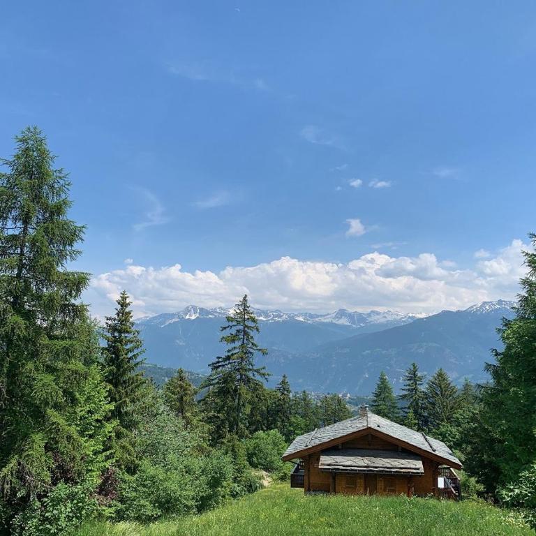 Edelweiss F 805 a Anzere avec vue sur les Alpes - Apartment - 11