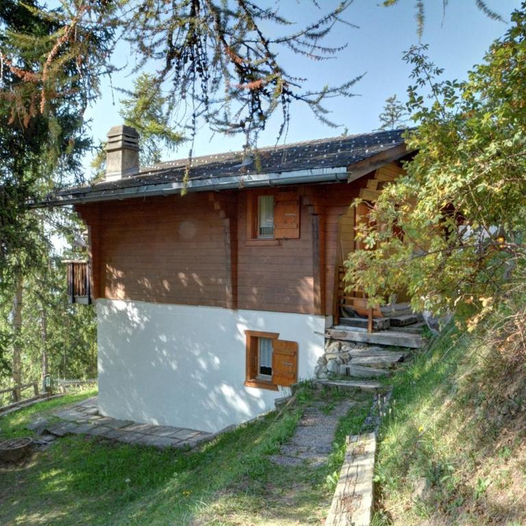 Chalet Gopaja a Anzere proche du telecabine - Chalet - 13