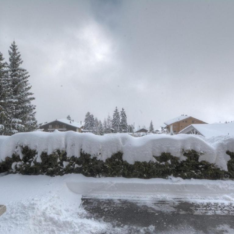 Godille rez a Anzere proche du centre avec vue sur les Alpes - Apartment - 12
