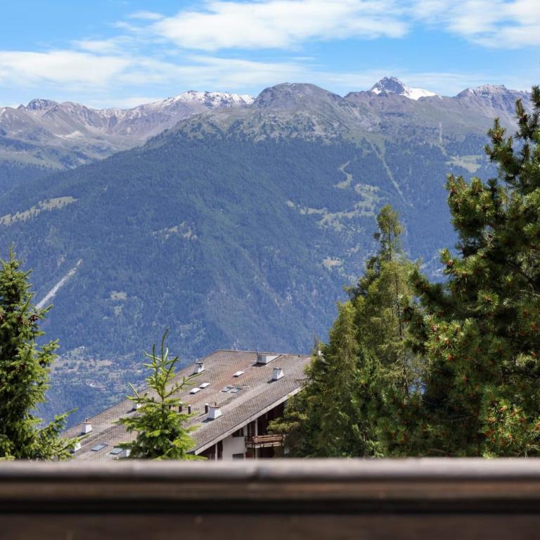 Chalet Noir pres de la telecabine a Anzere - Chalet - 71