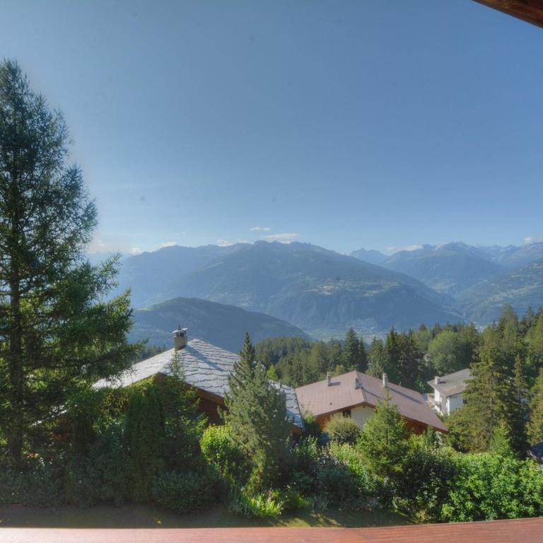Pas de l ours 3 pres du centre a Anzere avec vue sur les Alpes - Apartment - 16