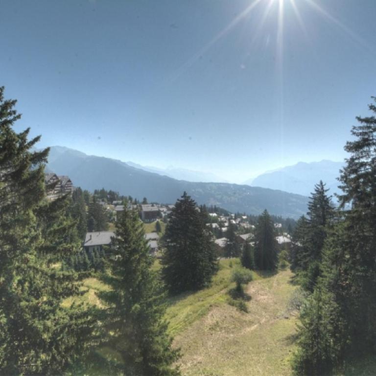Pollux 23 pres de la telecabine a Anzere avec vue sur les Alpes - Apartment - 16