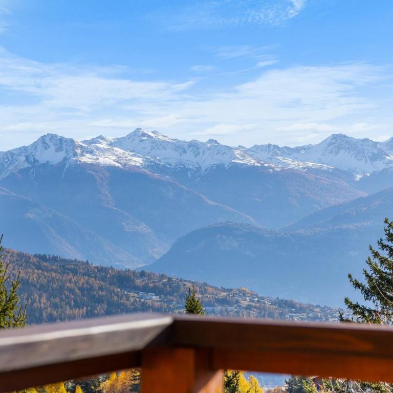Chalet Praz da Luys a Anzere avec vue sur les Alpes - Chalet - 15