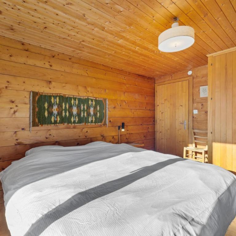 Chalet Praz da Luys a Anzere avec vue sur les Alpes - Chalet - 27