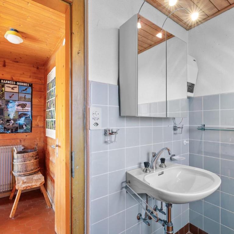 Chalet Praz da Luys a Anzere avec vue sur les Alpes - Chalet - 32