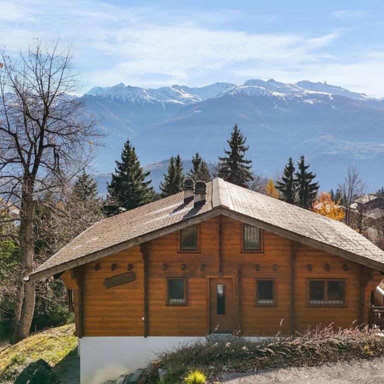 Chalet Praz da Luys a Anzere avec vue sur les Alpes - Chalet - 42