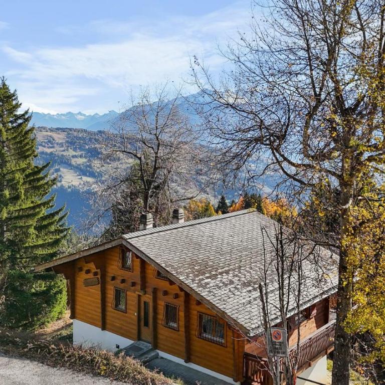 Chalet Praz da Luys a Anzere avec vue sur les Alpes - Chalet - 47