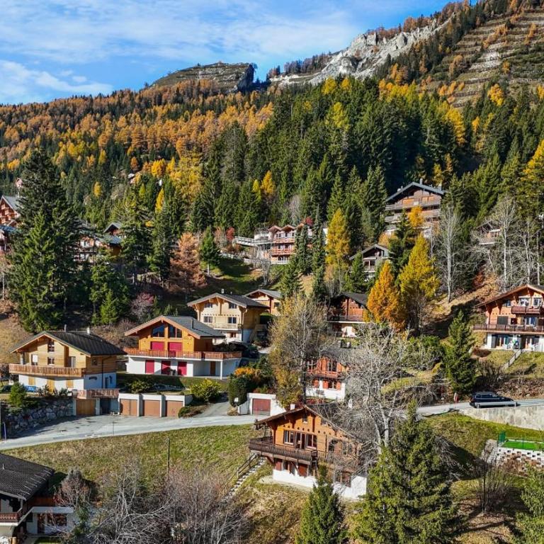Chalet Praz da Luys a Anzere avec vue sur les Alpes - Chalet - 48