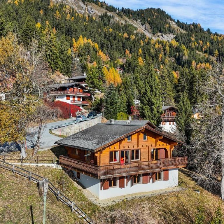 Chalet Praz da Luys a Anzere avec vue sur les Alpes - Chalet - 49