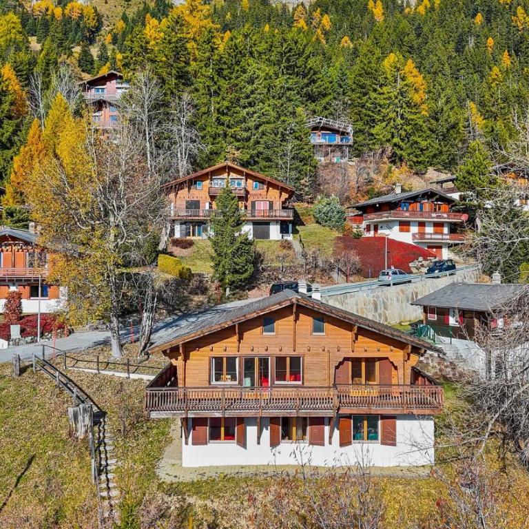 Chalet Praz da Luys a Anzere avec vue sur les Alpes - Chalet - 50