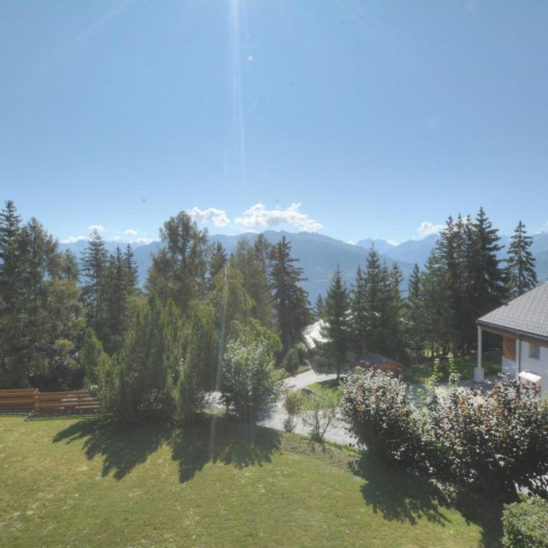 Appartement Rosalp 212 a Anzere proche du centre - Apartment - 14
