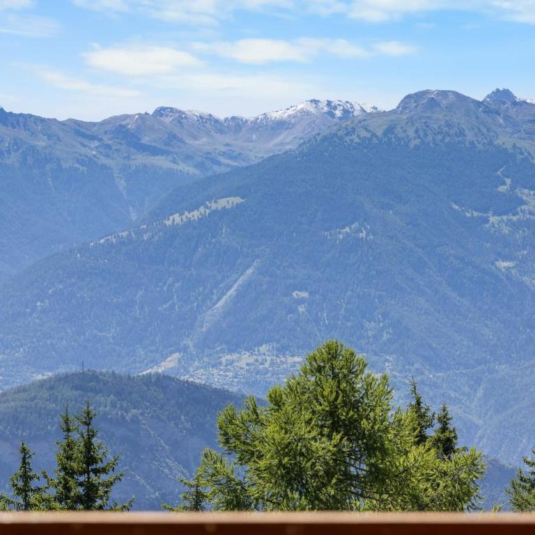 Rosalp 422 proche du centre a Anzere avec vue sur les Alpes - Apartment - 43