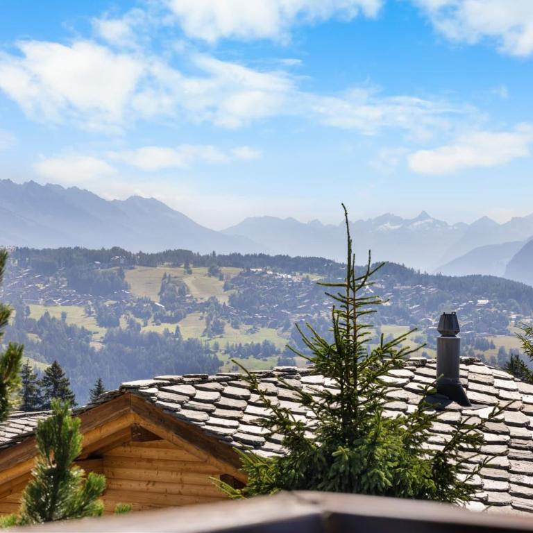 Rocheneige 19 au calme a Anzere avec vue sur les Alpes - Apartment - 18