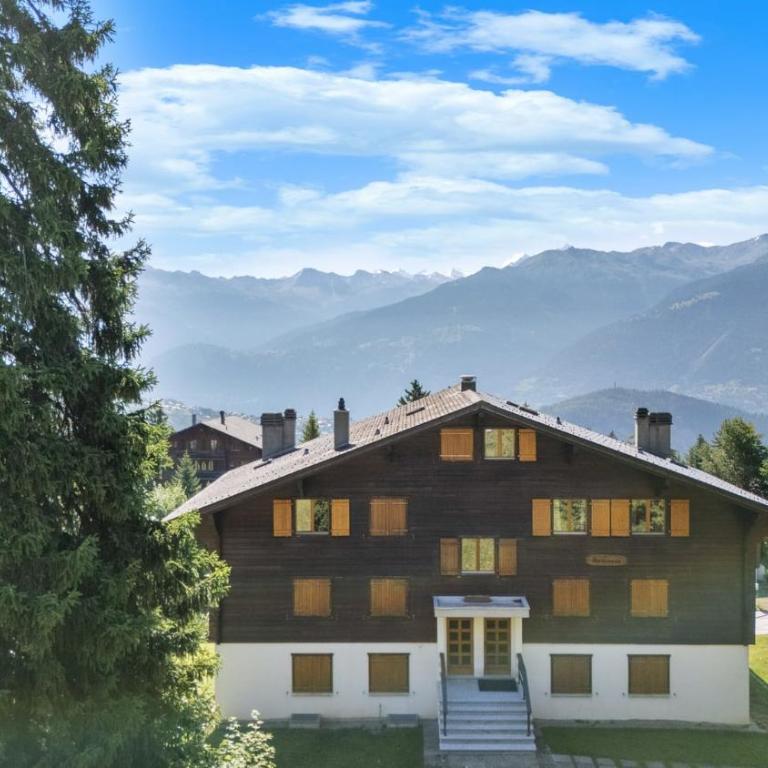 Rocheneige 19 au calme a Anzere avec vue sur les Alpes - Apartment - 22