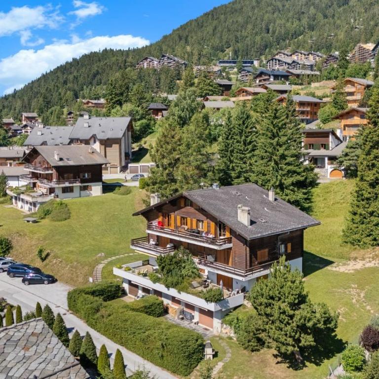 Rocheneige 19 au calme a Anzere avec vue sur les Alpes - Apartment - 27