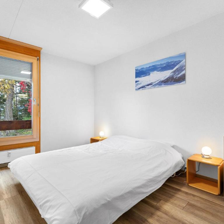Saphir 104 pres de la telecabine a Anzere - Apartment - 19