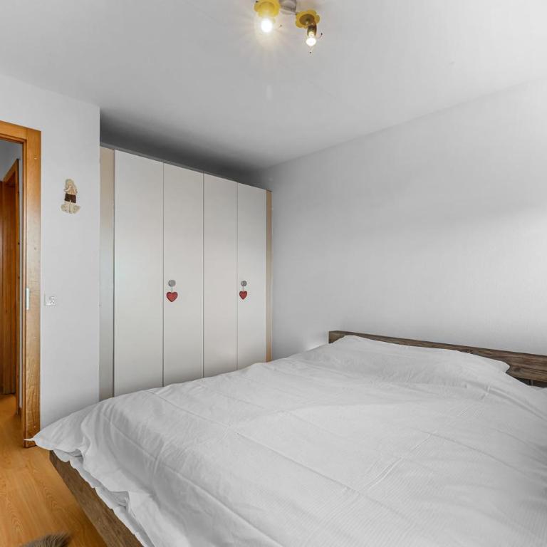 Saphir 404 pres de la telecabine a Anzere avec vue sur les Alpes - Apartment - 21