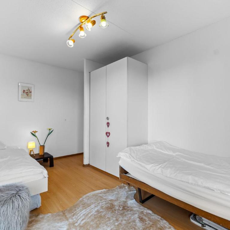 Saphir 404 pres de la telecabine a Anzere avec vue sur les Alpes - Apartment - 23
