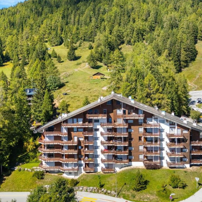 Saphir 404 pres de la telecabine a Anzere avec vue sur les Alpes - Apartment - 44