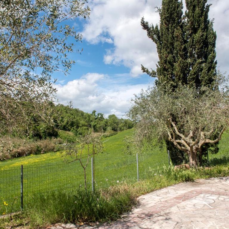 N202 - Numana, ampio bilocale con portico - Appartamento con 1 Camera da Letto - 16