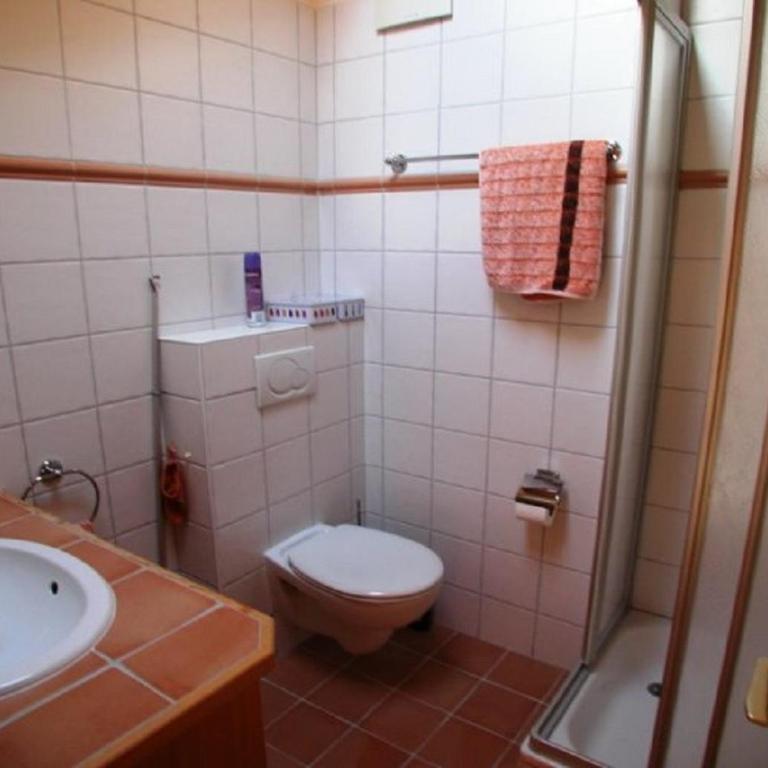Trembles E 6 a Anzere avec vue sur les Alpes - Apartment - 7