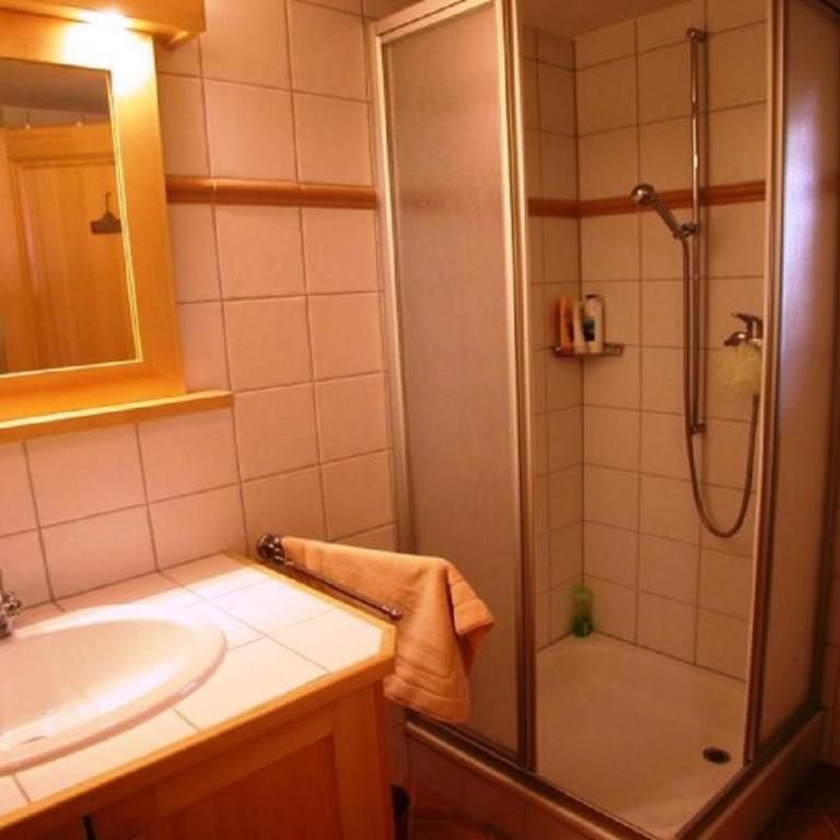 Trembles E 6 a Anzere avec vue sur les Alpes - Apartment - 9