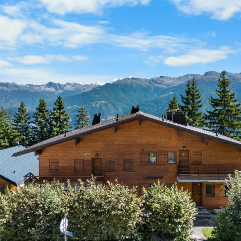 Appartement Veranoncelle 1 er a Anzere avec terrasse ensoleillee - Apartment - 22