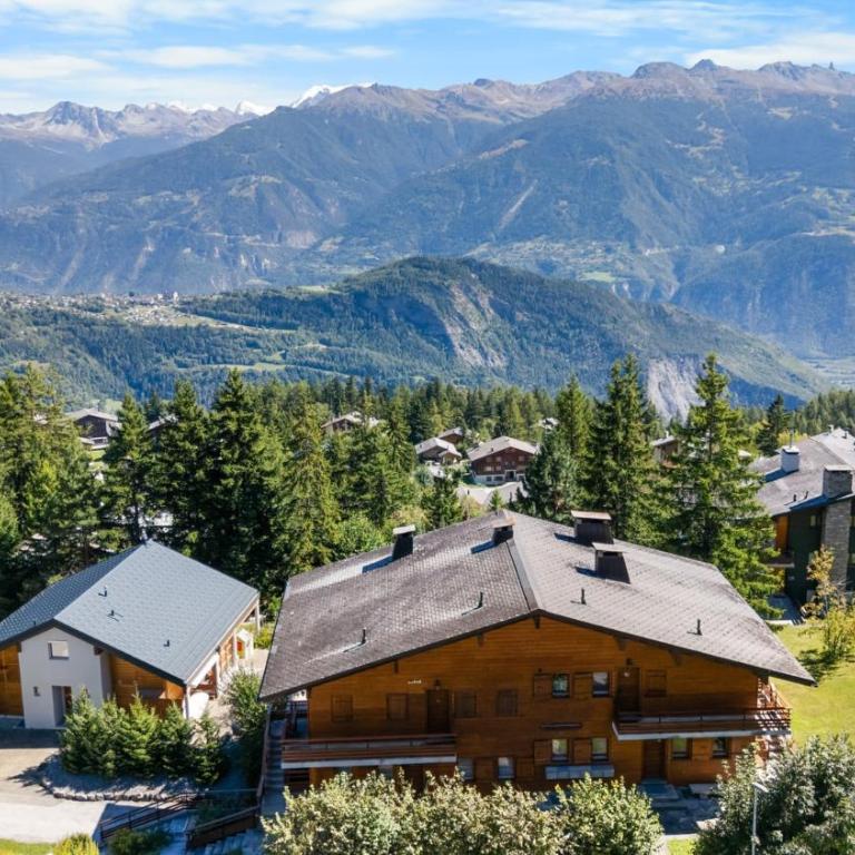 Appartement Veranoncelle 1 er a Anzere avec terrasse ensoleillee - Apartment - 26