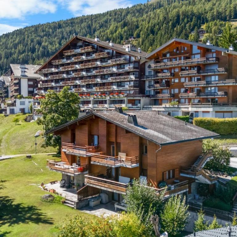 Appartement Veranoncelle 1 er a Anzere avec terrasse ensoleillee - Apartment - 29