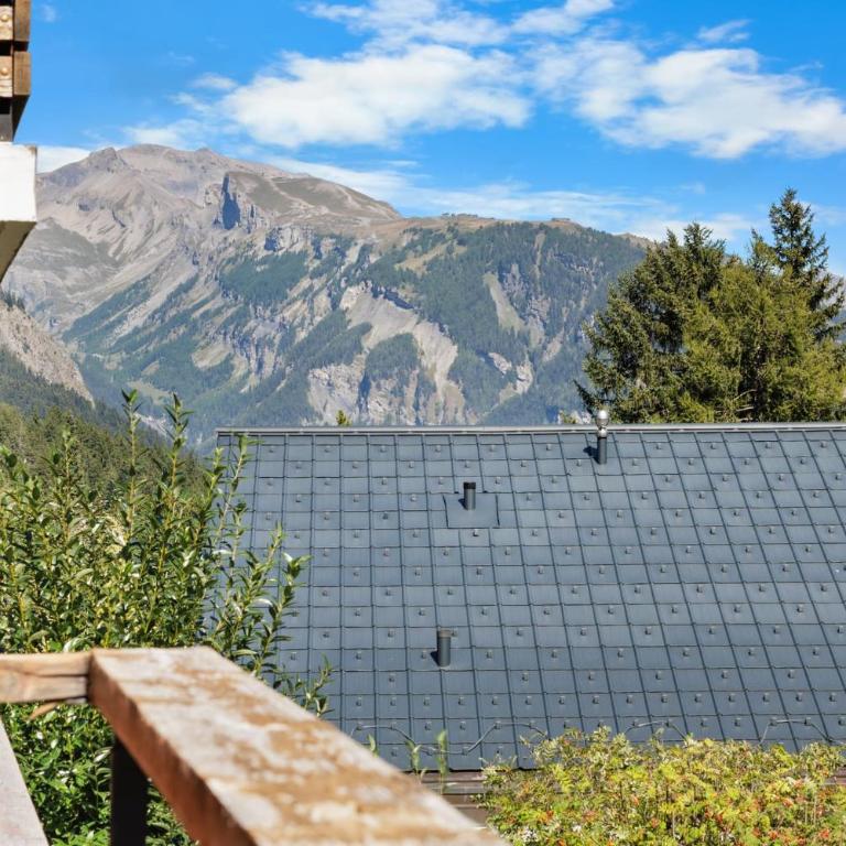 Appartement Veranoncelle 1 er a Anzere avec terrasse ensoleillee - Apartment - 32