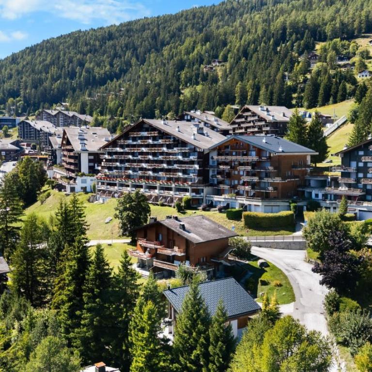 Appartement Veranoncelle 1 er a Anzere avec terrasse ensoleillee - Apartment - 33