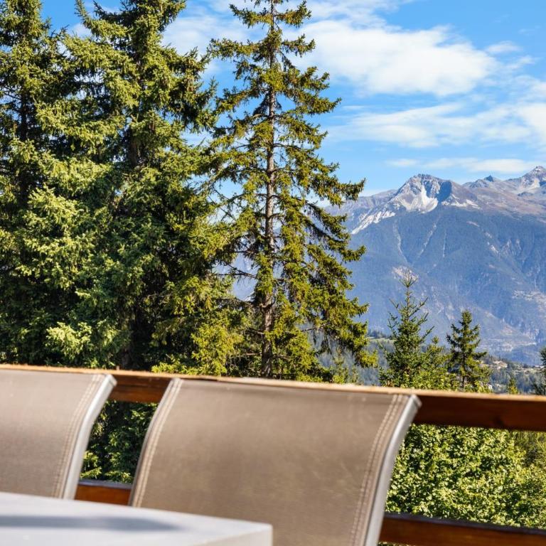 Appartement Veranoncelle 1 er a Anzere avec terrasse ensoleillee - Apartment - 37