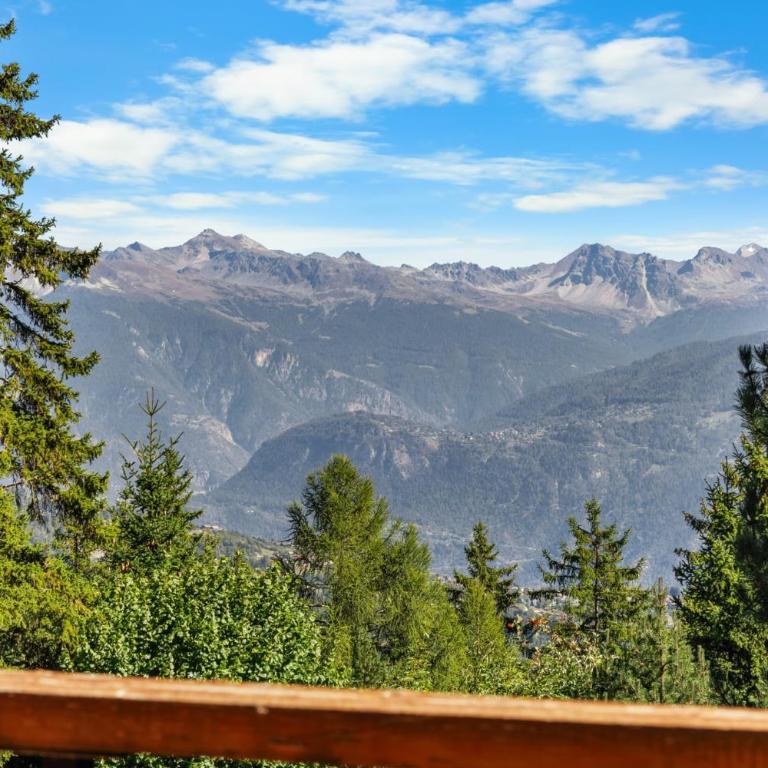 Appartement Veranoncelle 1 er a Anzere avec terrasse ensoleillee - Apartment - 38