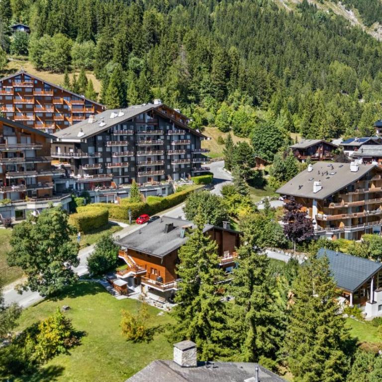 Appartement Veranoncelle 1 er a Anzere avec terrasse ensoleillee - Apartment - 39