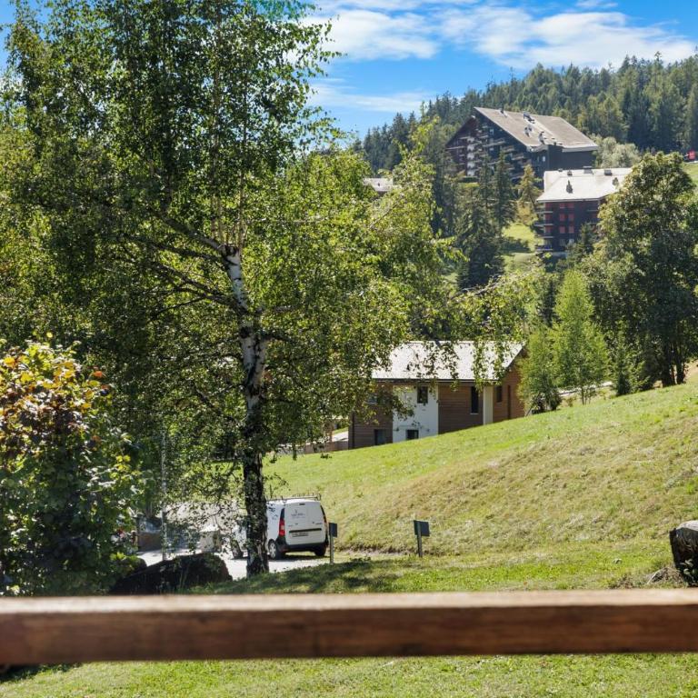 Appartement Veranoncelle 1 er a Anzere avec terrasse ensoleillee - Apartment - 40