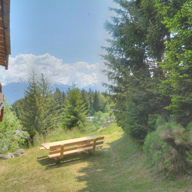Chalet Zoe a Anzere avec vue sur les Alpes - Chalet - 21