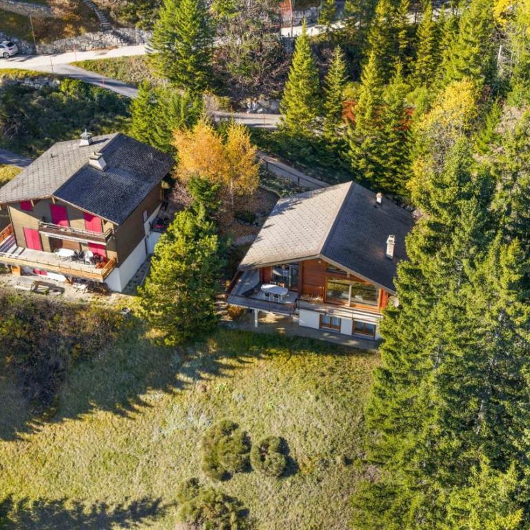 Chalet la Frenaie a Anzere avec vue sur les Alpes - Chalet - 49