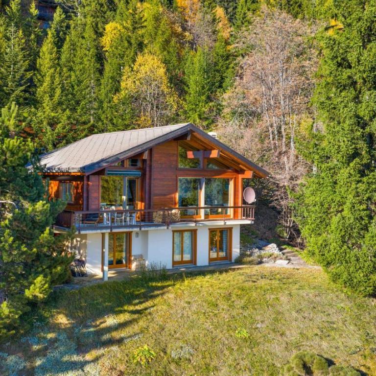 Chalet la Frenaie a Anzere avec vue sur les Alpes - Chalet - 50