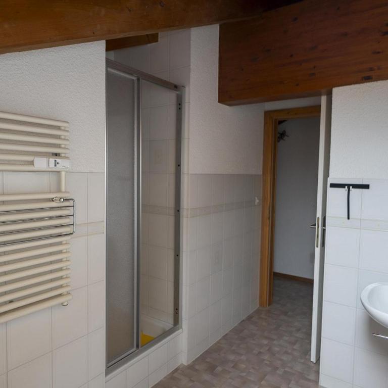 Dailles B 8 bel appartement a Anzere proche du centre - Apartment - 11