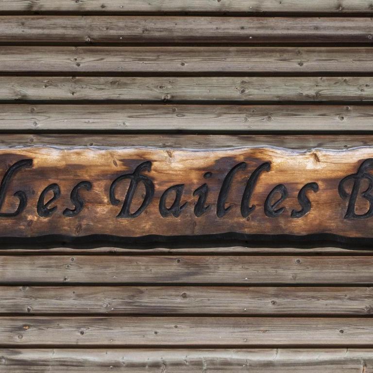 Dailles B 8 bel appartement a Anzere proche du centre - Apartment - 16