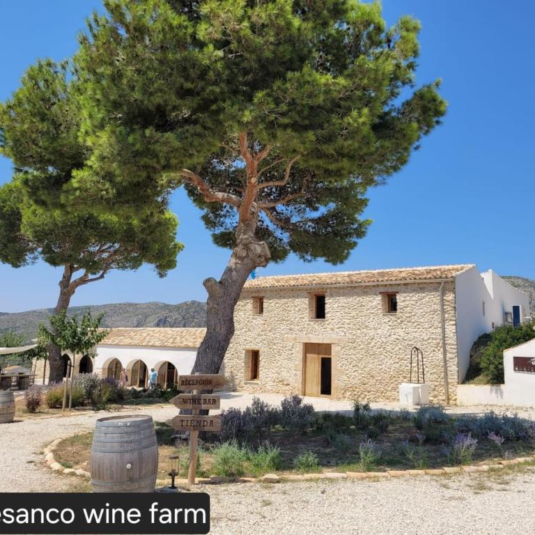 Casa del Andrago - Two-Bedroom Apartment - 23