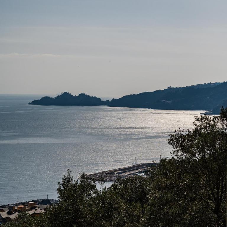 Rapallo - Nido romantico con vista mare - Appartamento con 1 Camera da Letto - 21