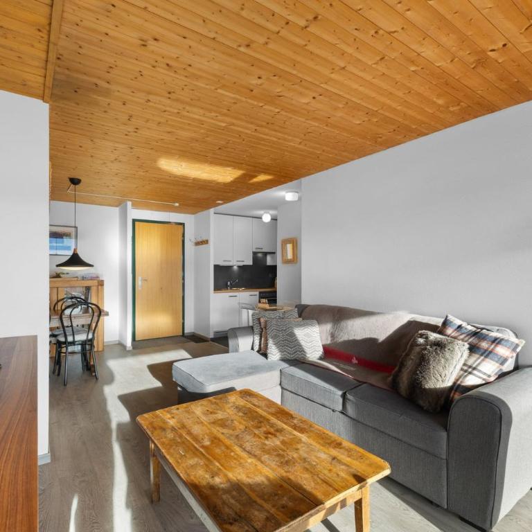 Gemeaux 104 sur la place du village a Anzere - Apartment - 10