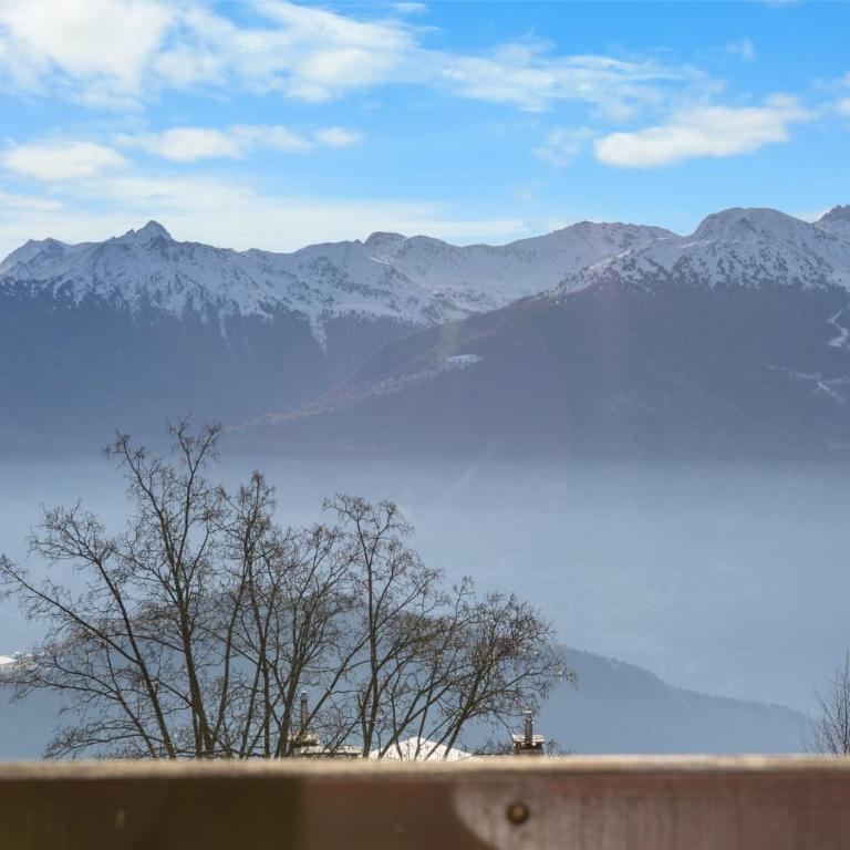 Gemeaux 104 sur la place du village a Anzere - Apartment - 21