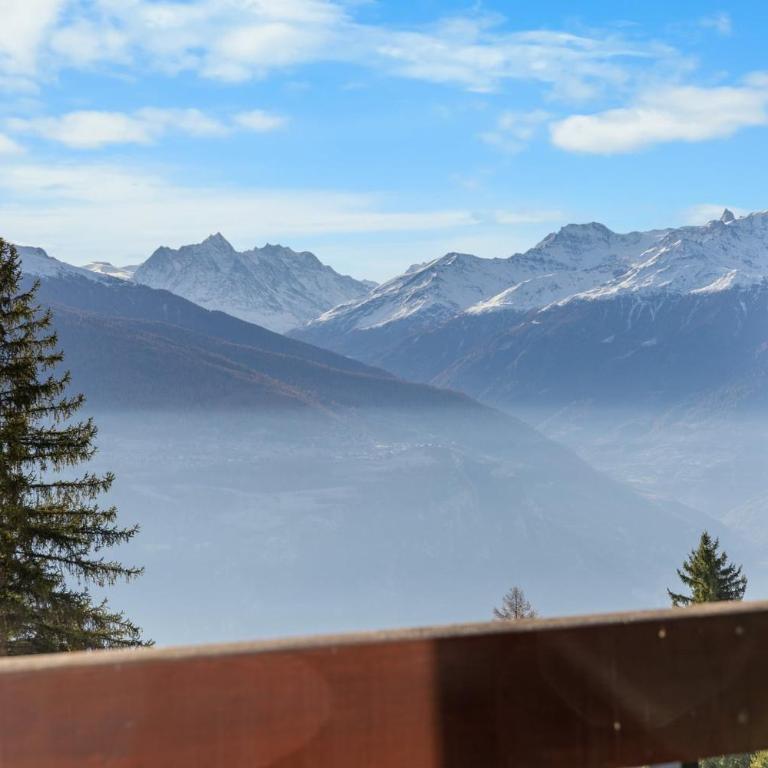 Gemeaux 104 sur la place du village a Anzere - Apartment - 22